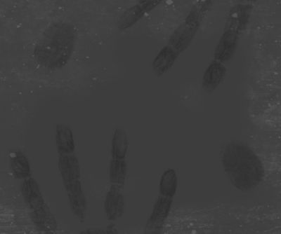 Spot Defense Technology