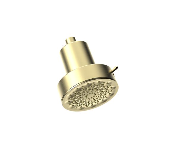 Filtered Showerhead Brushed Gold