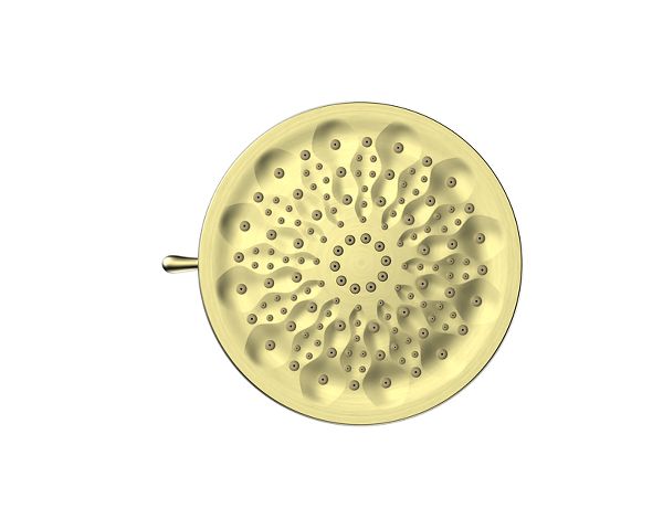 Filtered Showerhead Brushed Gold