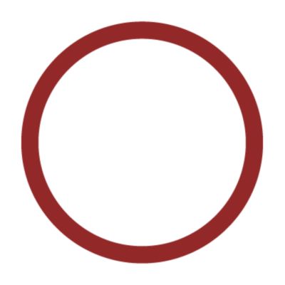 feature icon