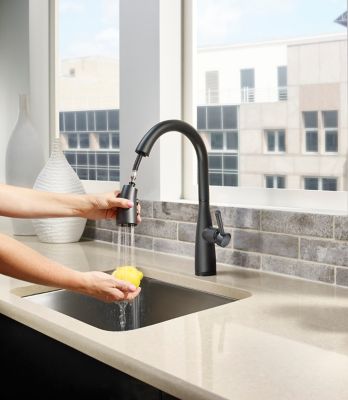 Raya F-529-7RYB Vignette