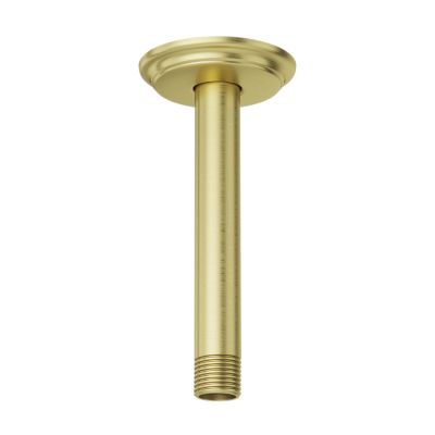 Primary Product Image for Pfister 6" Ceiling Mount Shower Arm & Flange