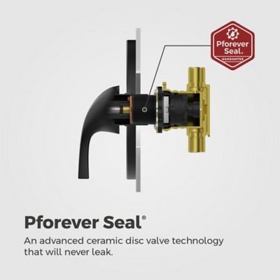 Product Thumbnail Image for pf_8p8-ws2-fwbb_img06