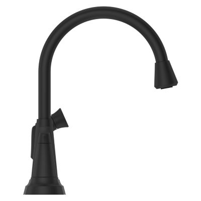 Product Thumbnail Image for pf_allegan_f-036-4agb_c2