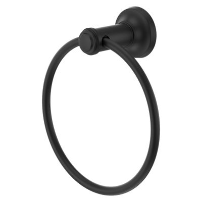 Primary Product Image for Briscoe Towel Ring
