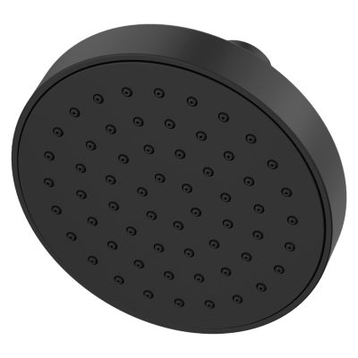 Primary Product Image for Brislin Brislin Raincan Showerhead