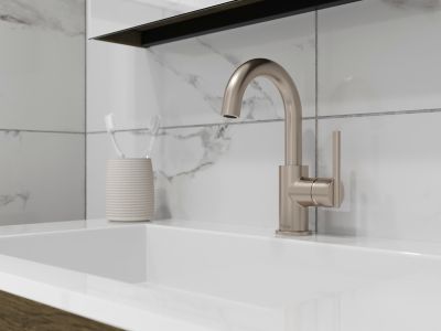 Product Vignette for pf_brislin_lg-42-bi3k_v1