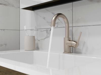 Product Vignette for pf_brislin_lg-42-bi3k_vw2