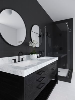 Product Vignette for pf_brislin_lg049-bi0b_rs1