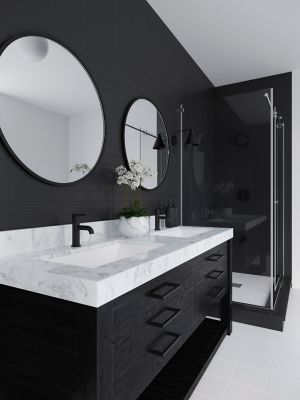 Product Vignette for pf_brislin_lg42-bi0b_rs1