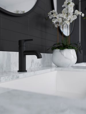 Product Vignette for pf_brislin_lg42-bi0b_v1