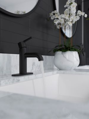 Product Vignette for pf_brislin_lg42-bi0b_vw1_dp