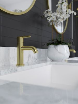 Product Vignette for pf_brislin_lg42-bi0bg_v1