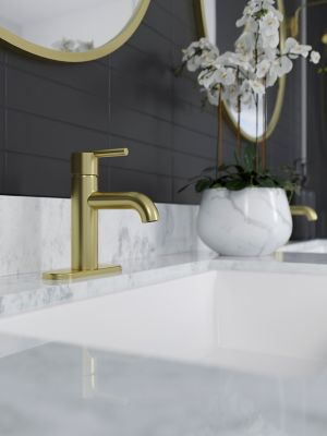 Product Vignette for pf_brislin_lg42-bi0bg_v1-dp