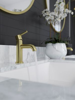 Product Vignette for pf_brislin_lg42-bi0bg_vw2