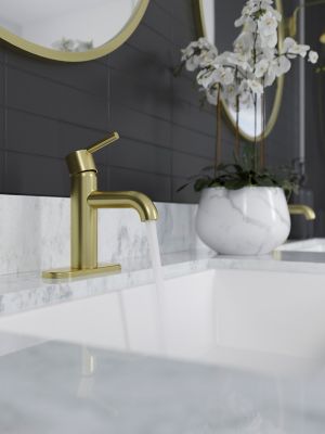 Product Vignette for pf_brislin_lg42-bi0bg_vw2-dp