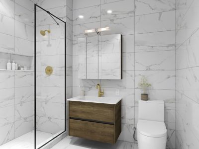 Product Vignette for pf_brislin_lg42-bi3bg_rs1