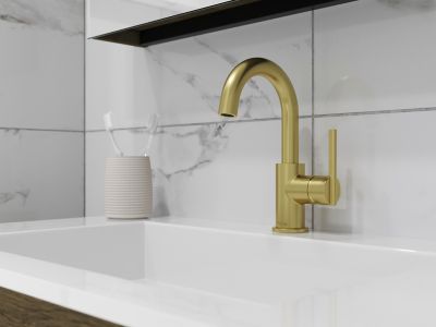 Product Vignette for pf_brislin_lg42-bi3bg_v1