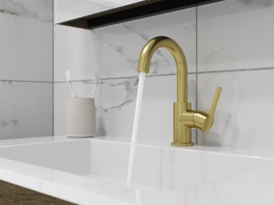 Product Vignette for pf_brislin_lg42-bi3bg_vw2