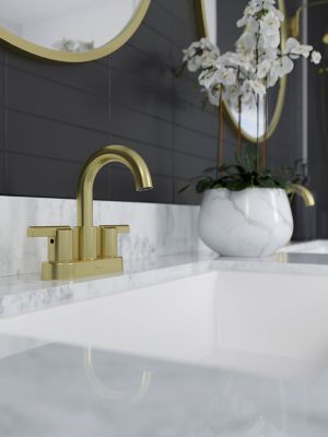 Product Vignette for pf_brislin_lg48-bi0bg_v1