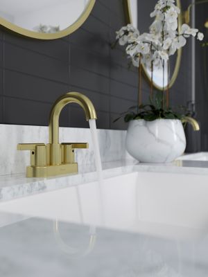 Product Vignette for pf_brislin_lg48-bi0bg_vw2
