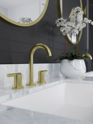 Product Vignette for pf_brislin_lg49-bi0bg_v1