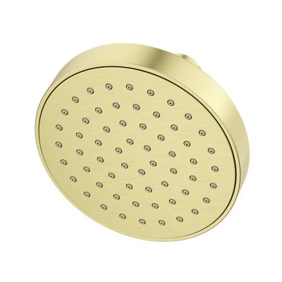 Primary Product Image for PFMF Brislin Raincan Showerhead