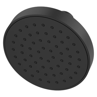 Primary Product Image for PFMF Brislin Raincan Showerhead
