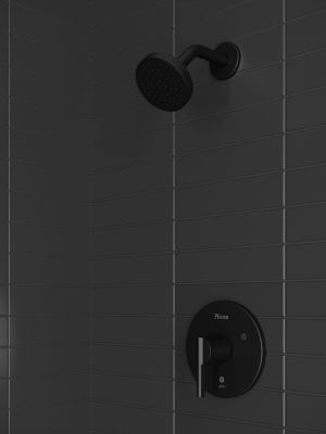 Product Vignette for pf_brislin_r89-7bib_v1