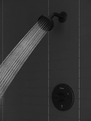 Product Vignette for pf_brislin_r89-7bib_vw1