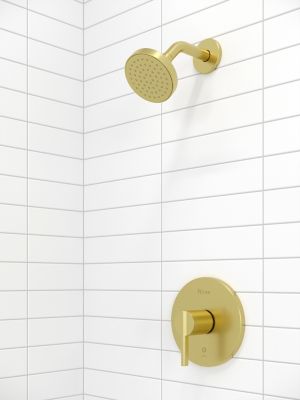 Product Vignette for pf_brislin_r897_bibg_lj15-bi0bg_v1