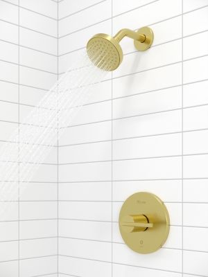 Product Vignette for pf_brislin_r897_bibg_lj15-bi0bg_vw1