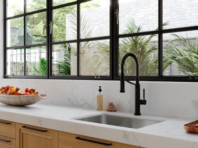 Product Vignette for pf_bruton__gt529-brub_v1