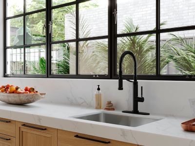 Product Vignette for pf_bruton__gt529-brub_v1-dp