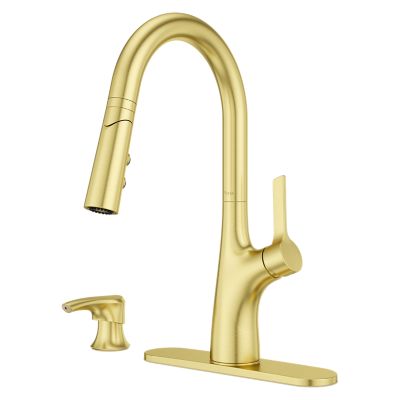 Primary Product Image for Ceylon 1-Handle Pull Down Kitchen Faucet