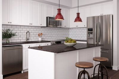 Product Vignette for pf_colfax_gt529-cols_rs1