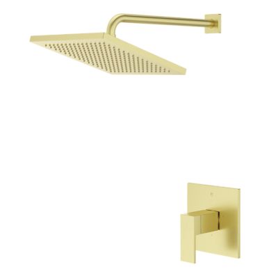 Primary Product Image for Dumont Shower Only Trim Kit