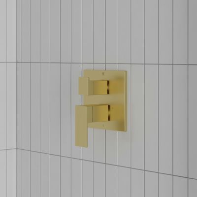 Product Vignette for pf_dumont_r89-sdmtsdbg_v1