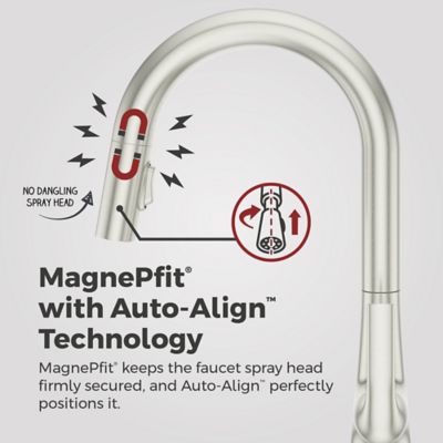 Product Thumbnail Image for pf_f-529-7brggs_img06