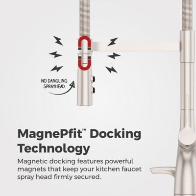 Supplementary Image pf_f-529-7clocgs_img04