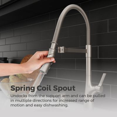 Supplementary Image pf_f-529-7clocgs_img05