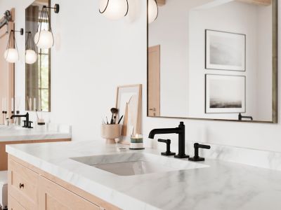 Product Vignette for pf_hillstone_lg49-hlsb_v1