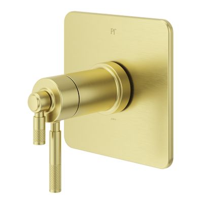 Primary Product Image for Hillstone Thermostatic Trim Kit