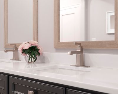 Product Vignette for pf_holliston_lg42-ht0gs_v1-dp