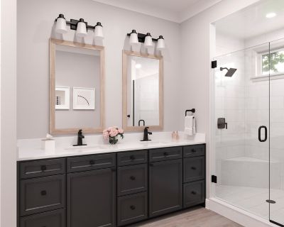 Product Vignette for pf_holliston_lg42-ht0sdb_rs1-dp