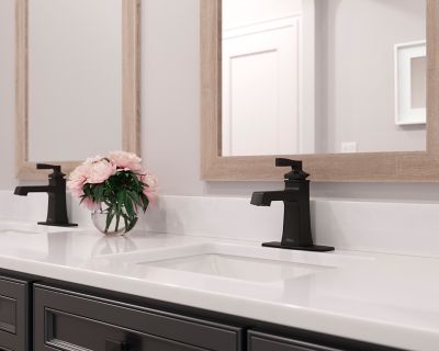 Product Vignette for pf_holliston_lg42-ht0sdb_v1-dp