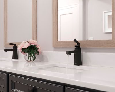 Product Vignette for pf_holliston_lg42-ht0sdb_vw2