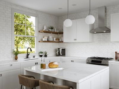 Product Vignette for pf_ladera_f-529-7lrb_rs1-dp-sp