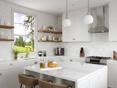 Product Vignette for pf_ladera_f-529-7lrrbg_rs1-dp-sp