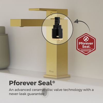 Product Thumbnail Image for pf_lf042dmtsdbg_img09